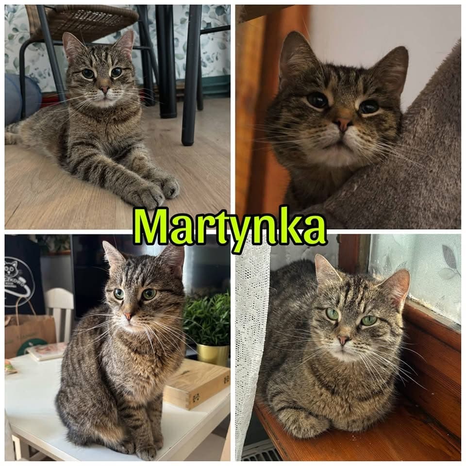 Martynka